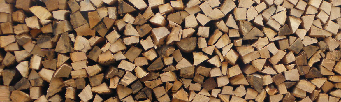 Bienfaits environnementaux de la combustion du bois